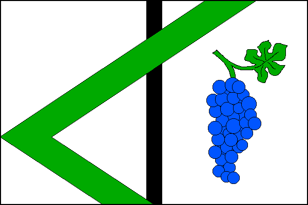 city flag