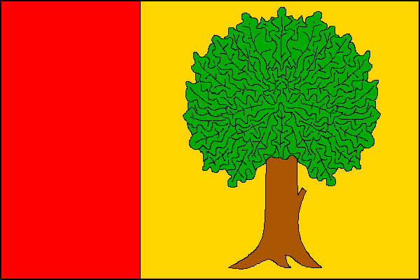 city flag