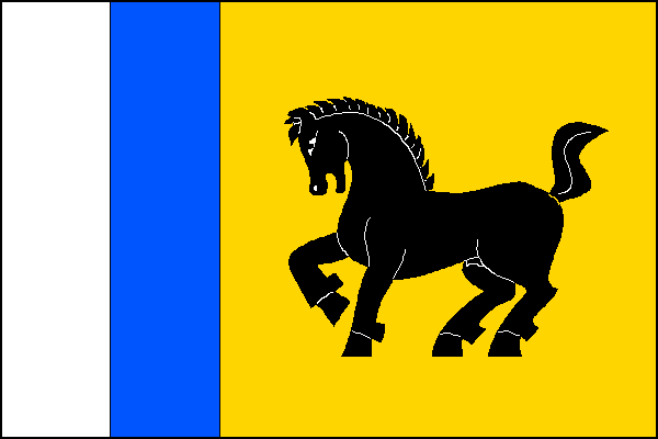 city flag