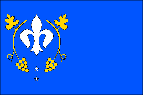 city flag