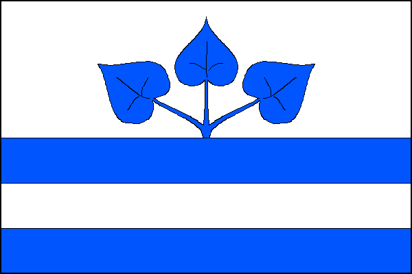 city flag