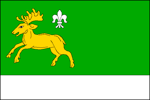 city flag