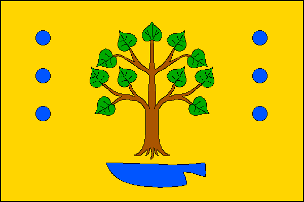 city flag