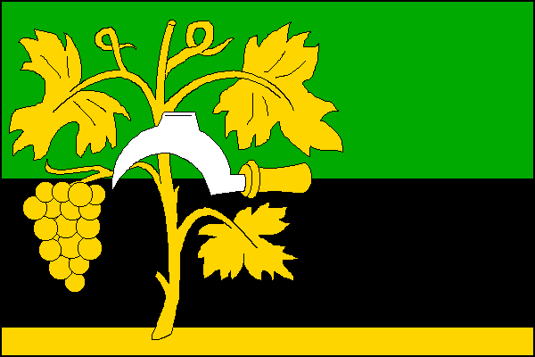 city flag