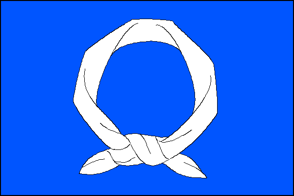 city flag