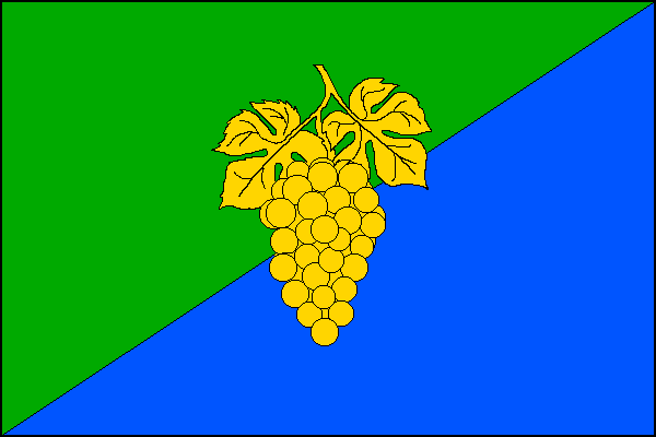 city flag