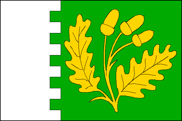 city flag