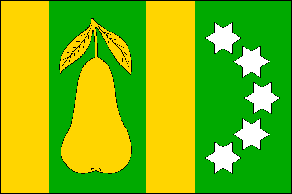 city flag