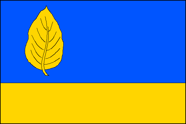 city flag