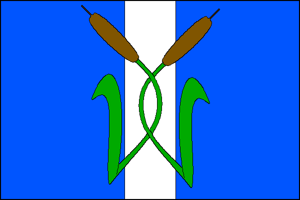 city flag