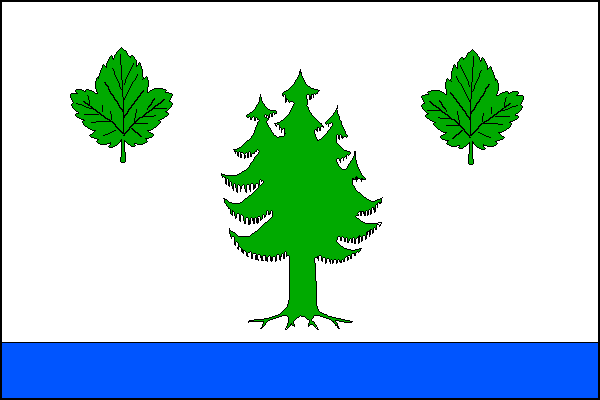 city flag