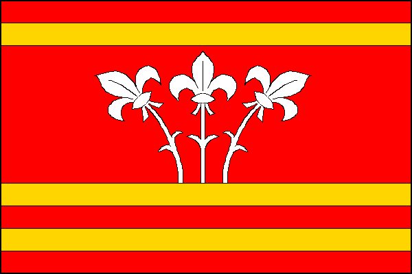 city flag