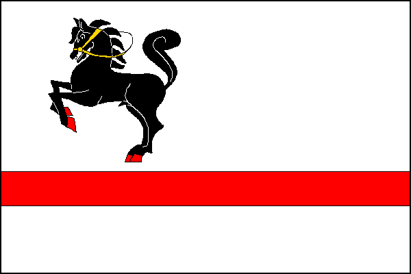 city flag