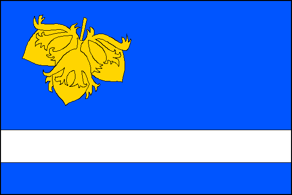 city flag