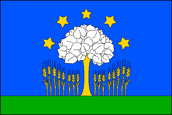 city flag