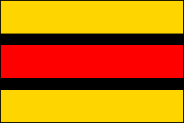 city flag