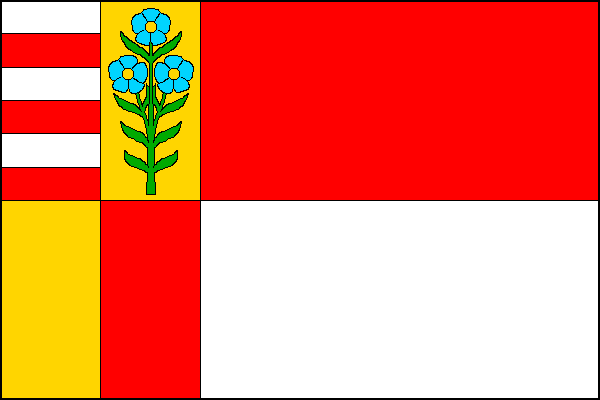 city flag