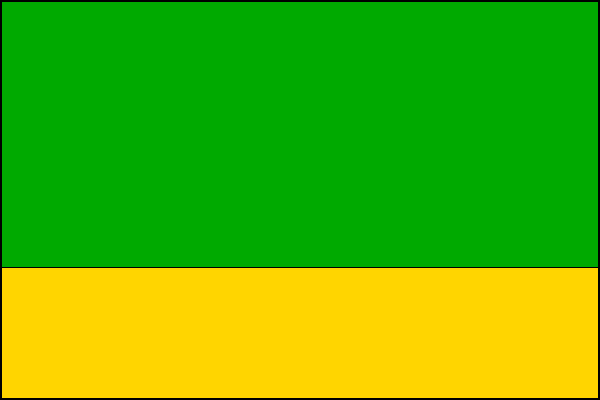 city flag