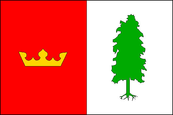 city flag