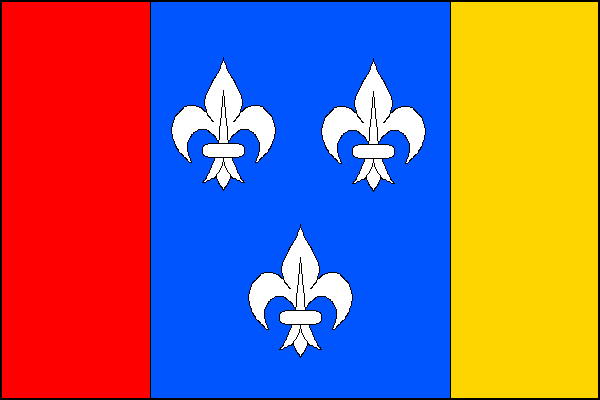 city flag