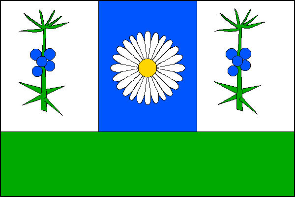 city flag