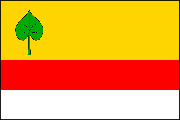 city flag