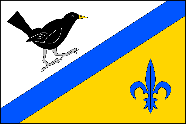 city flag