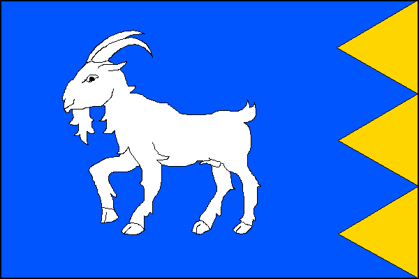 city flag