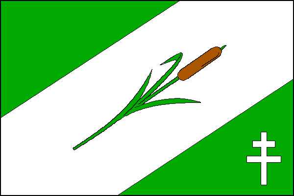 city flag