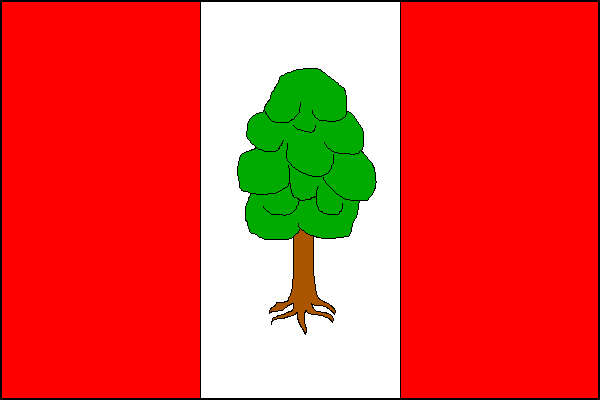 city flag