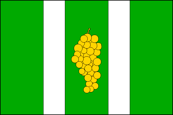 city flag