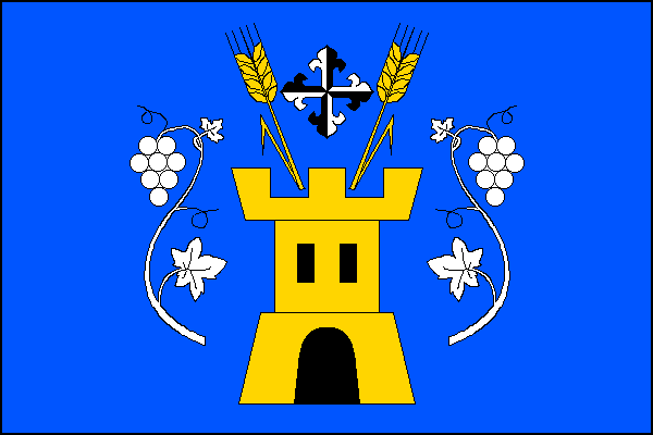 city flag