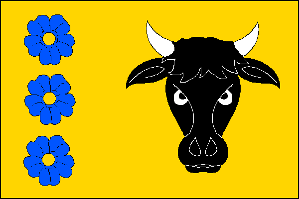 city flag