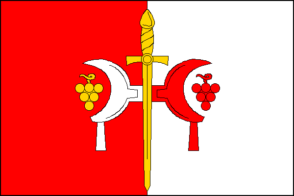 city flag