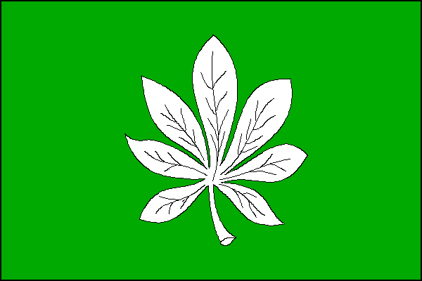 city flag