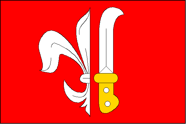 city flag