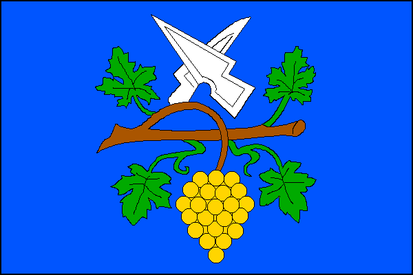 city flag