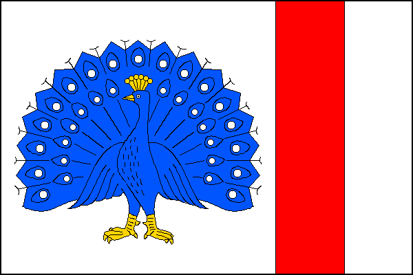 city flag