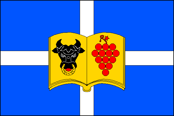 city flag