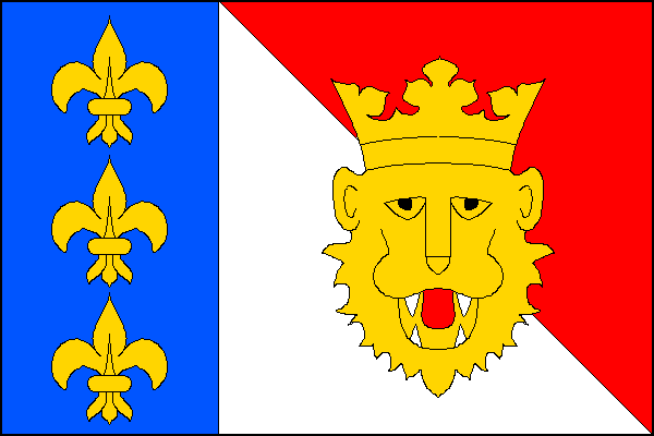 city flag