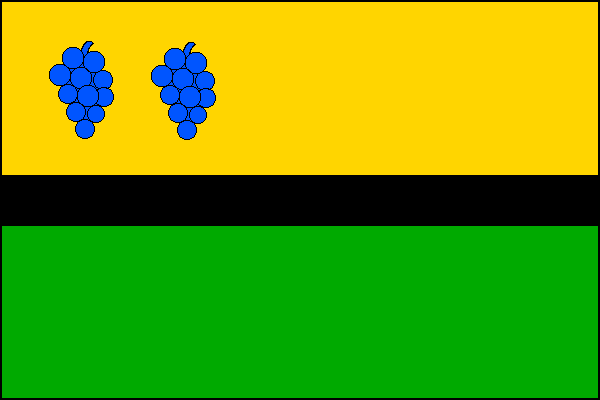 city flag