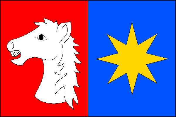city flag