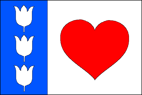 city flag
