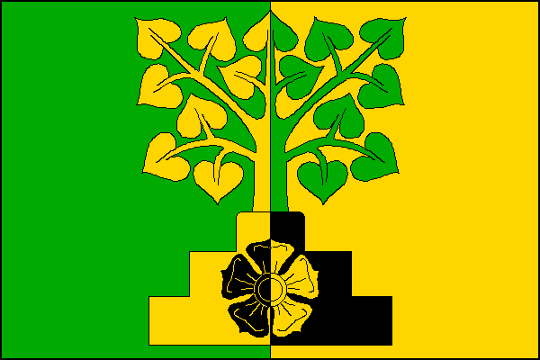 city flag
