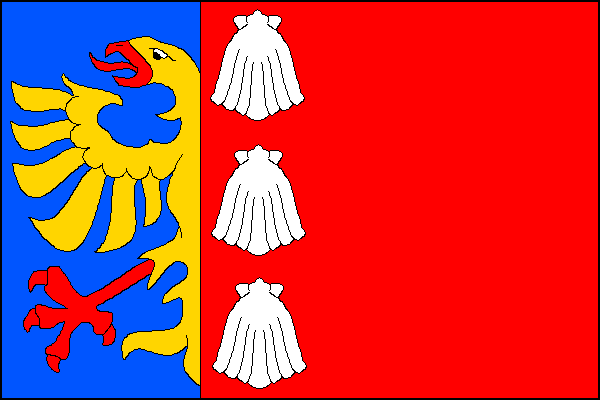 city flag