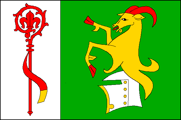 city flag