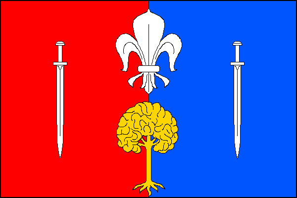 city flag