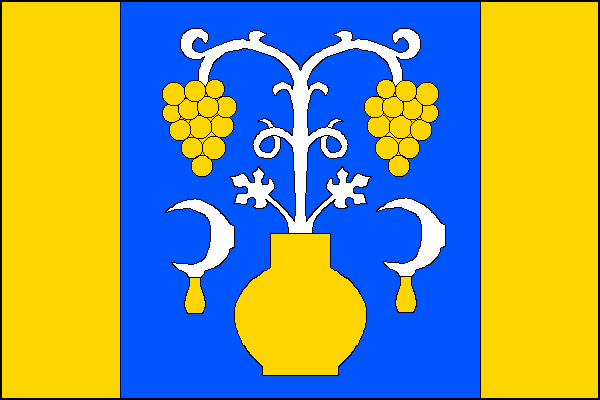 city flag