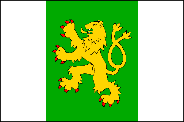city flag