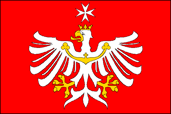 city flag